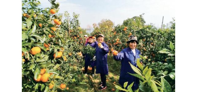 从“卖资源”到“卖品牌”，跨越——个“京品命门”，它跑出了产业加速度。