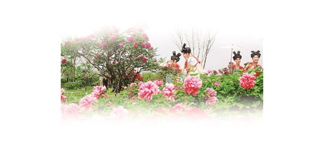 围绕推动文化和旅游融合发展，我市将着力打造一批能立、能呼、能传的知名品牌。