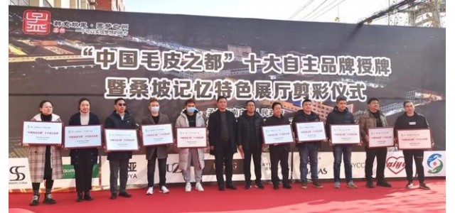 南庄镇桑坡村十大自主品牌荣耀出炉！