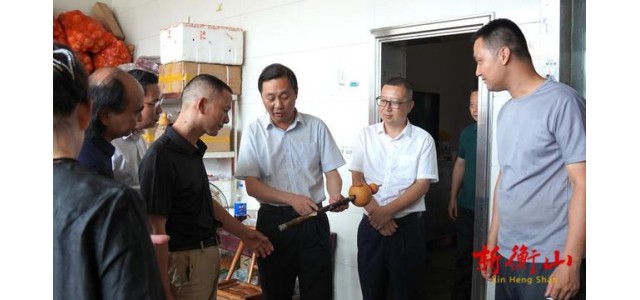 戴新贤在县jdb官网中文版乐器制作协会调研时强调，振兴jdb官网中文版乐器产业奏响了衡山发展的最强音。